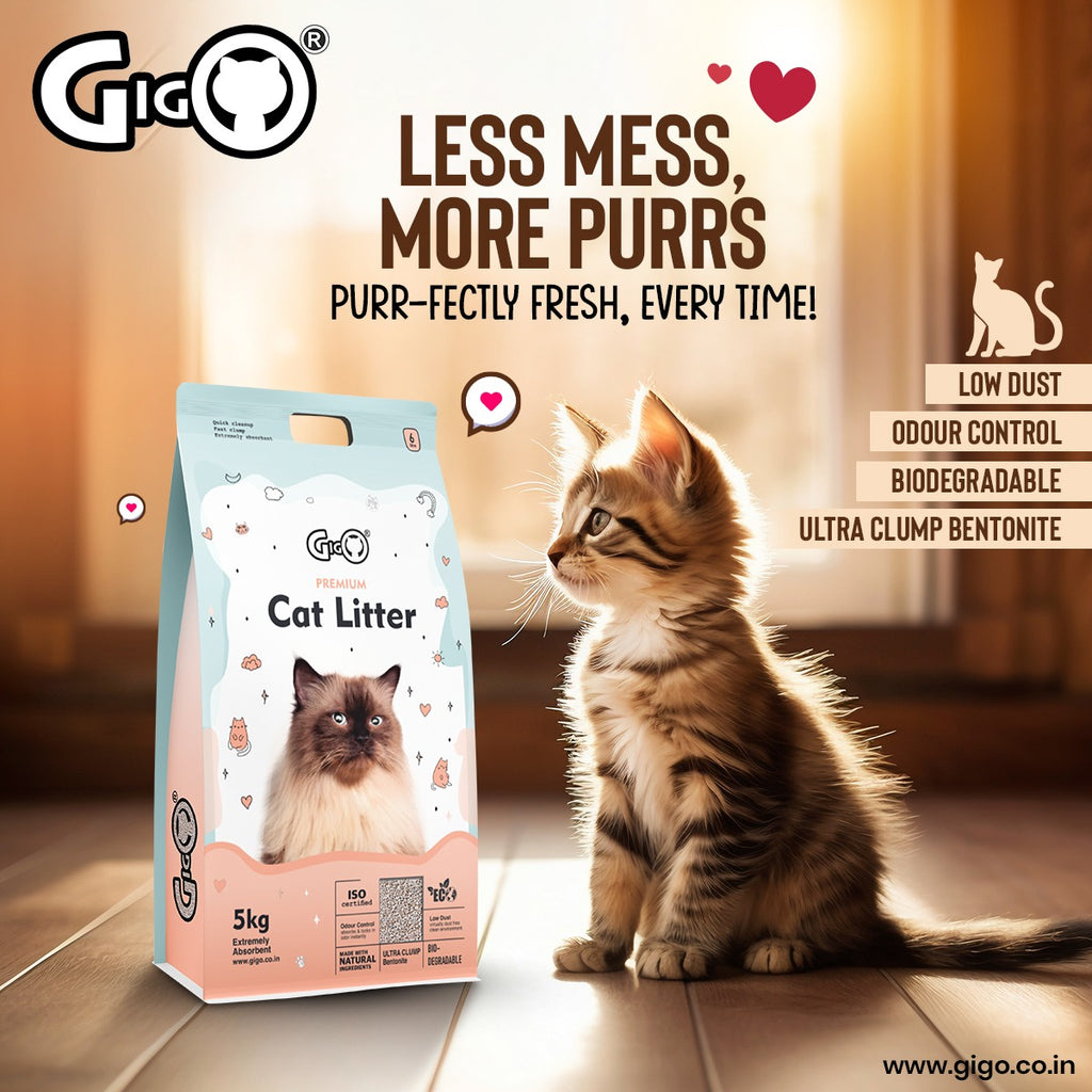 Gigo Premium White Bentonite Cat Litter with Activated Charcoal – Super Hard Clumping, 99% Dust Free, Soft on Paws, Ultra Odour Lock Cat Litter for All Breeds (5kg) Visit the GIGO Store