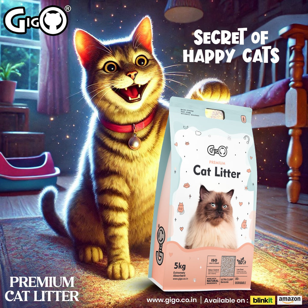 Gigo Premium White Bentonite Cat Litter with Activated Charcoal – Super Hard Clumping, 99% Dust Free, Soft on Paws, Ultra Odour Lock Cat Litter for All Breeds (5kg) Visit the GIGO Store