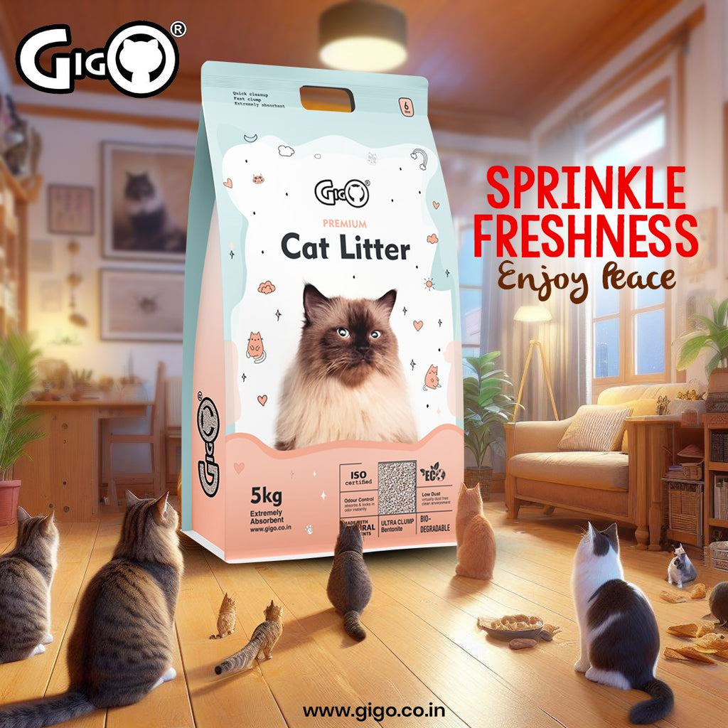 Gigo Premium White Bentonite Cat Litter with Activated Charcoal – Super Hard Clumping, 99% Dust Free, Soft on Paws, Ultra Odour Lock Cat Litter for All Breeds (5kg) Visit the GIGO Store